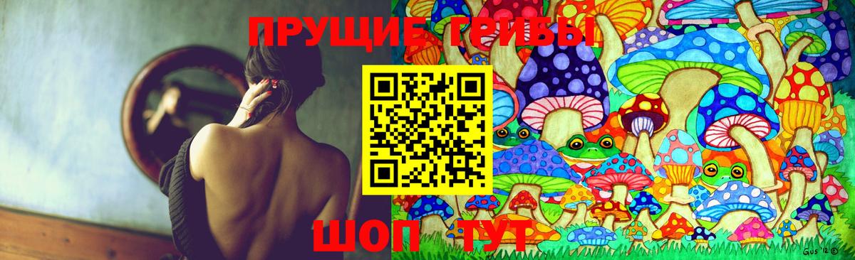 Коммунар  Галлюциногенные грибы Psilocybe  Вход с VPN 